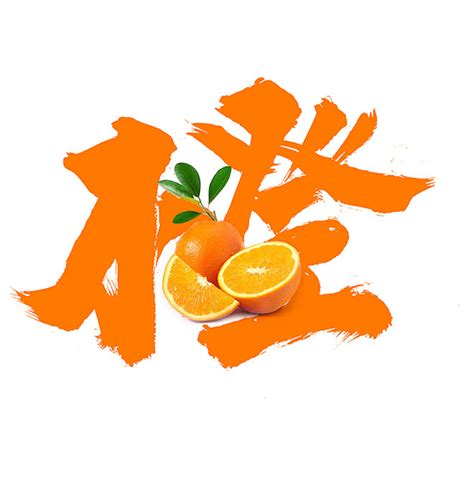 橙橙的名字|带橙字的名字